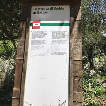 Exploring Sardinia S Mounts And Beaches! Apartment *